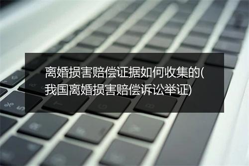 离婚损害赔偿证据如何收集的(我国离婚损害赔偿诉讼举证)