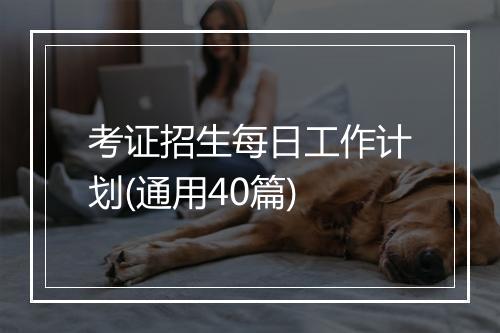 考证招生每日工作计划(通用40篇)