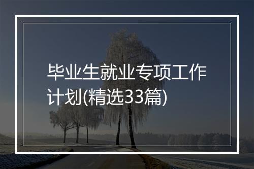 毕业生就业专项工作计划(精选33篇)