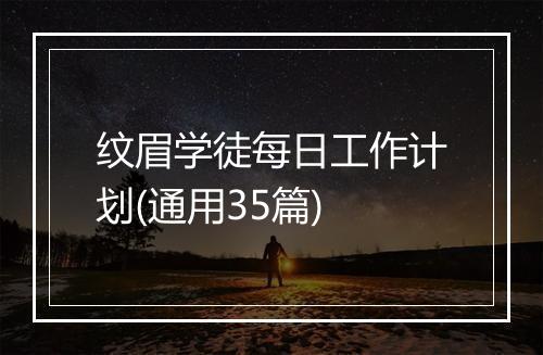 纹眉学徒每日工作计划(通用35篇)