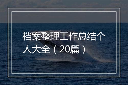 档案整理工作总结个人大全（20篇）