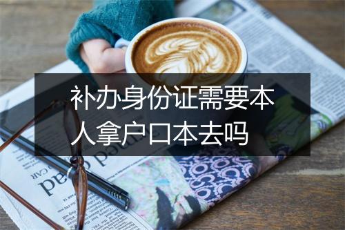 补办身份证需要本人拿户口本去吗