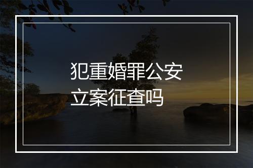 犯重婚罪公安立案征查吗