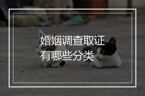 婚姻调查取证有哪些分类