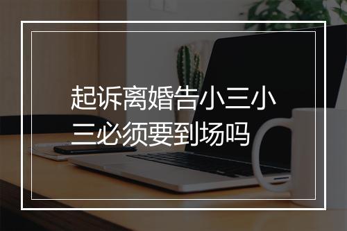 起诉离婚告小三小三必须要到场吗