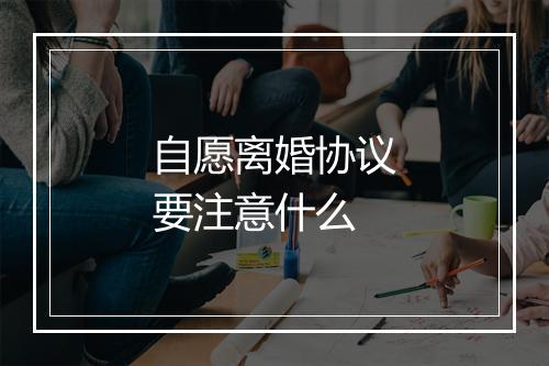 自愿离婚协议要注意什么