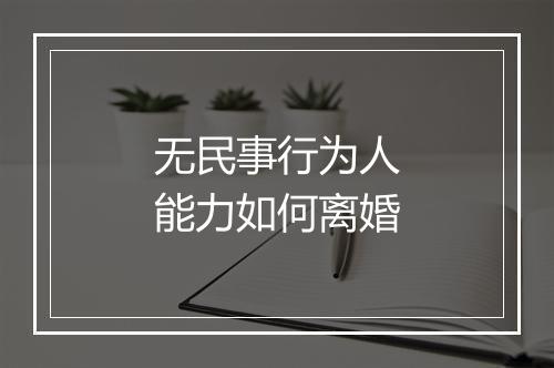 无民事行为人能力如何离婚