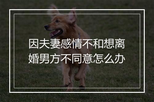 因夫妻感情不和想离婚男方不同意怎么办