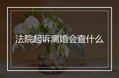 法院起诉离婚会查什么