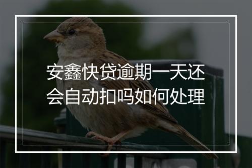 安鑫快贷逾期一天还会自动扣吗如何处理