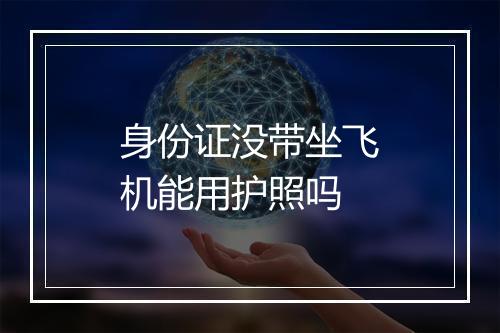 身份证没带坐飞机能用护照吗
