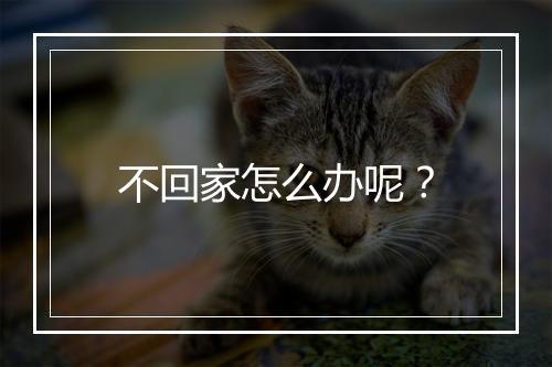 不回家怎么办呢？