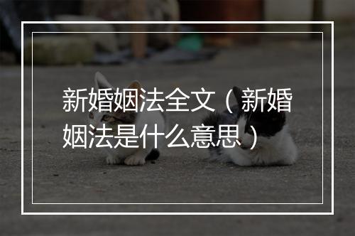 新婚姻法全文（新婚姻法是什么意思）