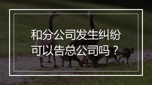 和分公司发生纠纷可以告总公司吗？