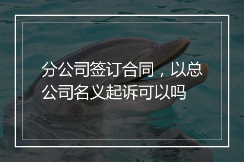 分公司签订合同，以总公司名义起诉可以吗