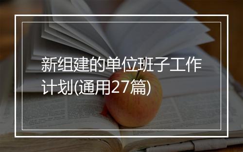 新组建的单位班子工作计划(通用27篇)