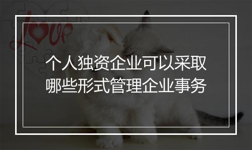 个人独资企业可以采取哪些形式管理企业事务