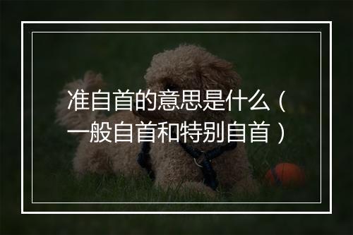 准自首的意思是什么（一般自首和特别自首）