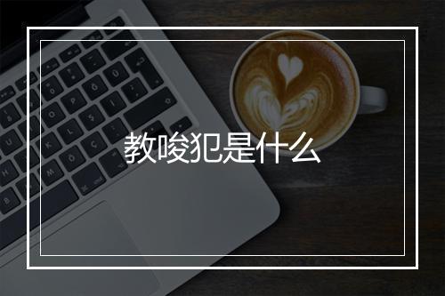 教唆犯是什么