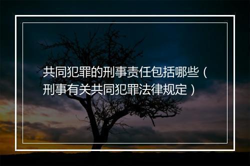 共同犯罪的刑事责任包括哪些（刑事有关共同犯罪法律规定）
