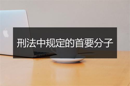 刑法中规定的首要分子