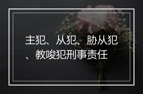 主犯、从犯、胁从犯、教唆犯刑事责任