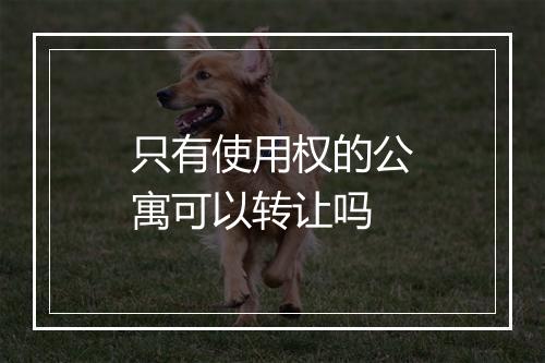 只有使用权的公寓可以转让吗