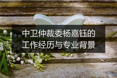 中卫仲裁委杨嘉钰的工作经历与专业背景