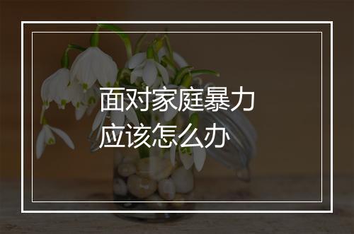 面对家庭暴力应该怎么办