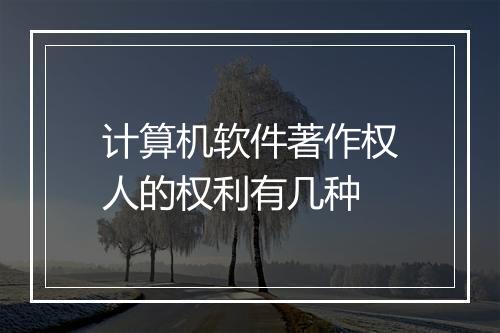 计算机软件著作权人的权利有几种