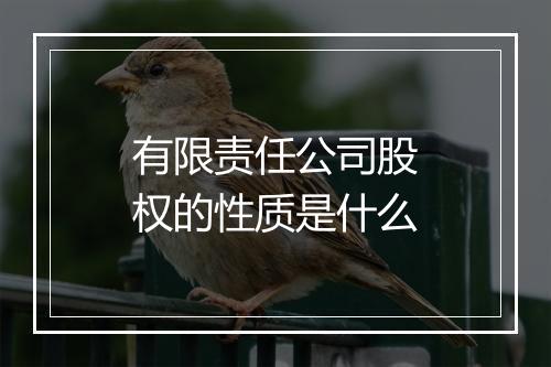 有限责任公司股权的性质是什么