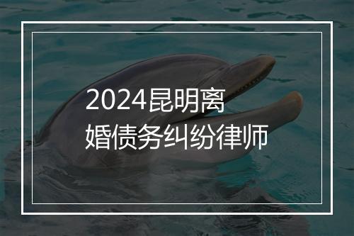 2024昆明离婚债务纠纷律师
