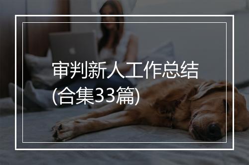 审判新人工作总结(合集33篇)