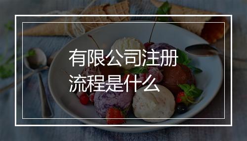 有限公司注册流程是什么