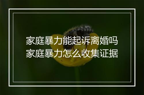 家庭暴力能起诉离婚吗家庭暴力怎么收集证据