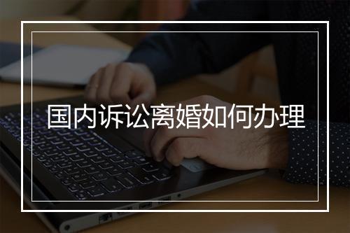 国内诉讼离婚如何办理