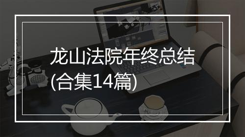 龙山法院年终总结(合集14篇)