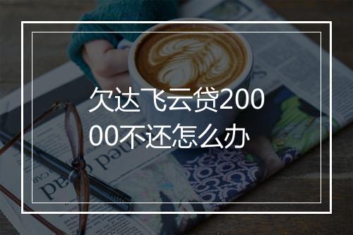 欠达飞云贷20000不还怎么办