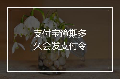 支付宝逾期多久会发支付令