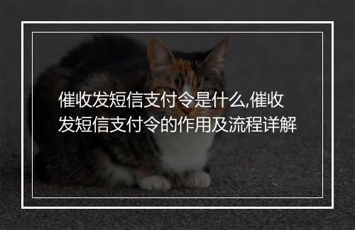 催收发短信支付令是什么,催收发短信支付令的作用及流程详解