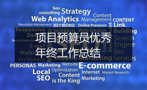 项目预算员优秀年终工作总结