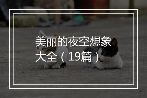 美丽的夜空想象大全（19篇）
