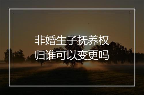 非婚生子抚养权归谁可以变更吗
