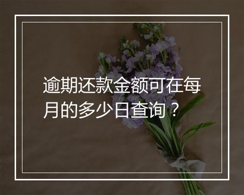 逾期还款金额可在每月的多少日查询？