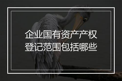 企业国有资产产权登记范围包括哪些