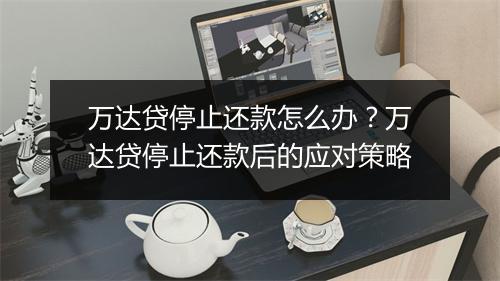 万达贷停止还款怎么办？万达贷停止还款后的应对策略