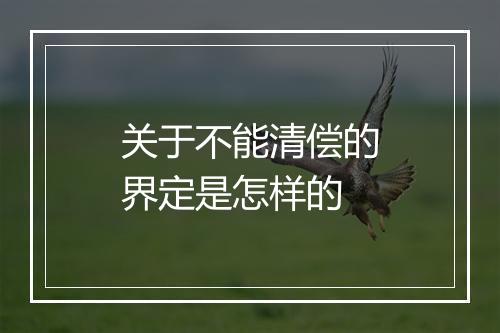 关于不能清偿的界定是怎样的
