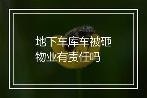 地下车库车被砸物业有责任吗