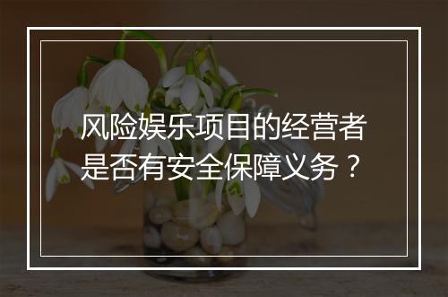 风险娱乐项目的经营者是否有安全保障义务？