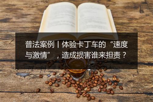 普法案例丨体验卡丁车的“速度与激情”，造成损害谁来担责？